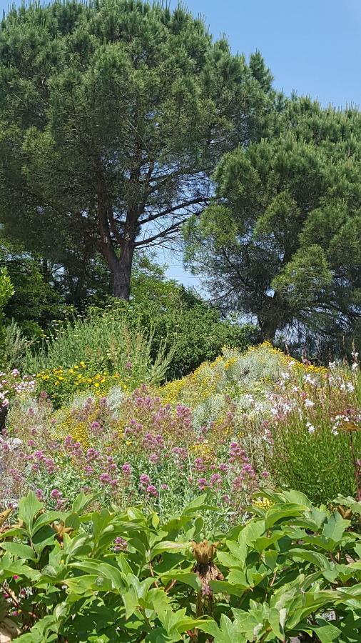 Au Calme Chez L'Habitant Foulayronnes エクステリア 写真